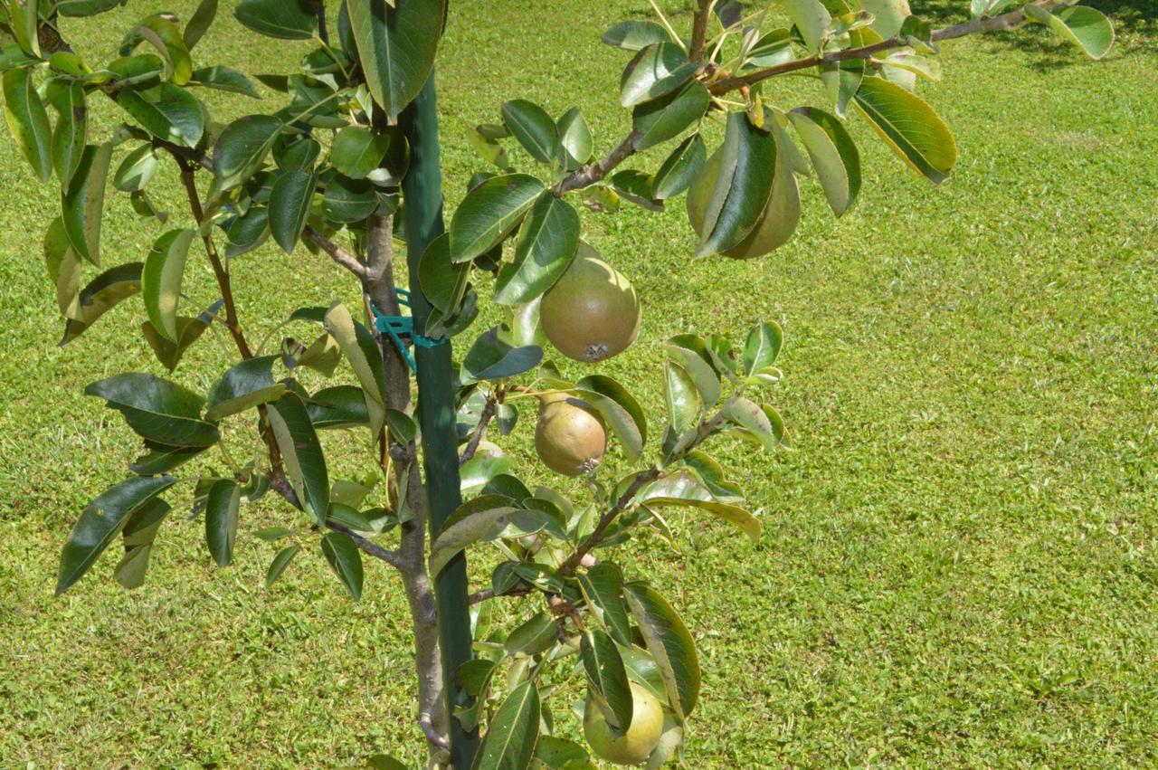 Bihać Amal Grand Villa מראה חיצוני תמונה
